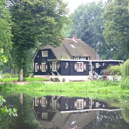 Tranquil In With Barbecue *